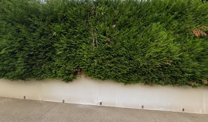 Saphirfetes, Prestataire de Mariage à Saint-Germain-en-Laye