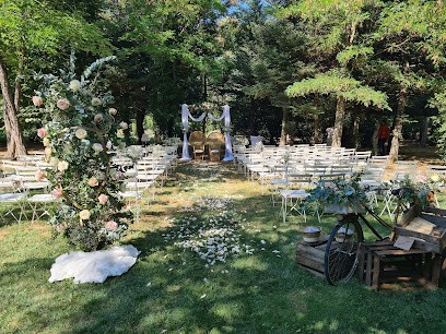 Celine Fernandez | Wedding Planner & Cérémonie Laïque Marseille (PACA), Organisateur de Mariage à Châteauneuf-les-Martigues