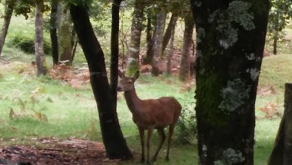 ANAGALYS, Organisateur de Mariage à Ondres