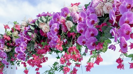 AGENCE GRECO, Organisateur de Mariage à Villeneuve-Loubet