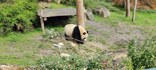 Bulles D'1 Jour, Organisateur de Mariage à Blois