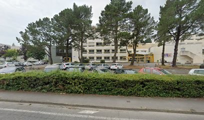 Wild Hearts Weddings, Organisateur de Mariage à Vannes