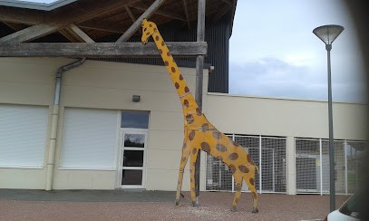 D.A.M.E. Events, Organisateur de Mariage à Boësses