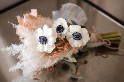 Se Dire Oui, Organisateur de Mariage à Jonquières