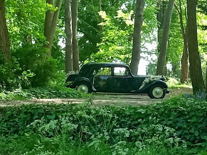 AAVCM, Prestataire de Mariage à Saint-Omer-Capelle