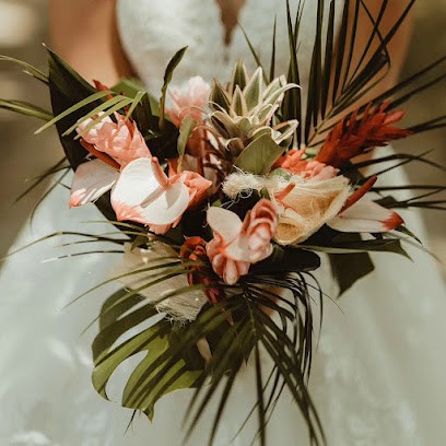 A L'aube Du Mariage, Organisateur de Mariage à Mèze