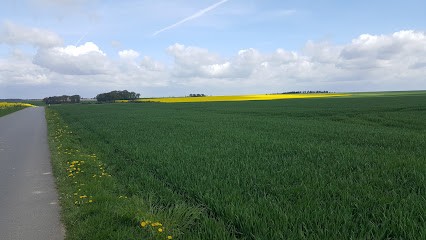 MMP EVENT, Organisateur de Mariage à Tilly