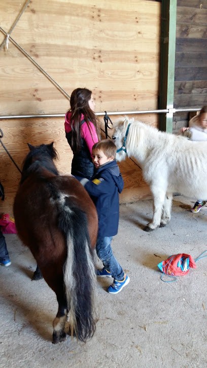 LilyFS, Organisateur de Mariage à Lucy-sur-Cure