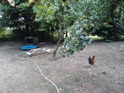 SOLUSCENE, Organisateur de Mariage à Ancy