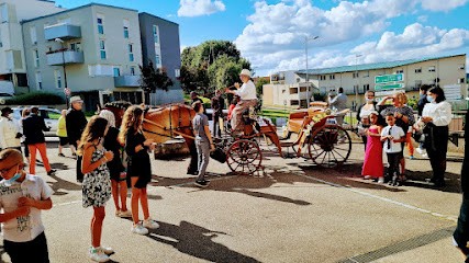 Christelle Tom Event, Organisateur de Mariage à Nancy