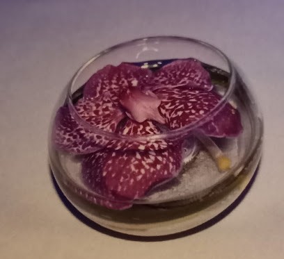 Wedding floral event, Organisateur de Mariage à Brétigny-sur-Orge