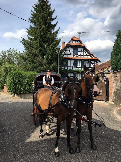 Mariage En Calèche, Prestataire de Mariage à Stundwiller