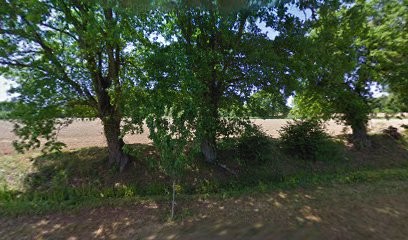 CO'D CO, Prestataire de Mariage à Santranges